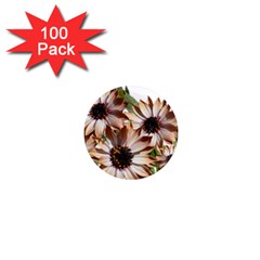 Sun Daisies Leaves Flowers 1  Mini Magnets (100 Pack)  by Celenk