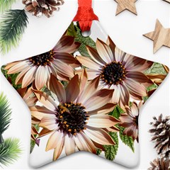 Sun Daisies Leaves Flowers Star Ornament (two Sides) by Celenk