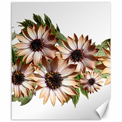 Sun Daisies Leaves Flowers Canvas 8  X 10  by Celenk