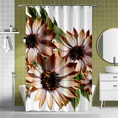 Sun Daisies Leaves Flowers Shower Curtain 48  X 72  (small)  by Celenk