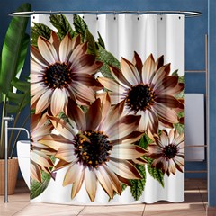 Sun Daisies Leaves Flowers Shower Curtain 60  X 72  (medium)  by Celenk