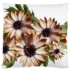 Sun Daisies Leaves Flowers Standard Flano Cushion Case (one Side) by Celenk