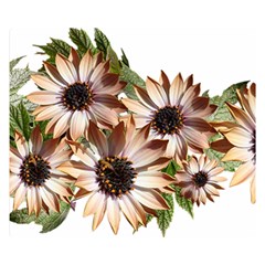 Sun Daisies Leaves Flowers Double Sided Flano Blanket (small)  by Celenk