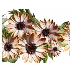 Sun Daisies Leaves Flowers Double Sided Flano Blanket (medium)  by Celenk