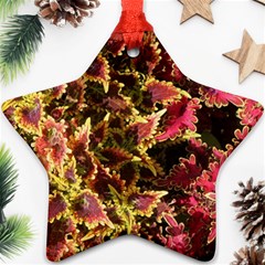 Plant Leaves Foliage Pattern Ornament (star)