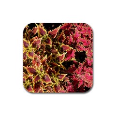 Plant Leaves Foliage Pattern Rubber Square Coaster (4 Pack)  by Celenk