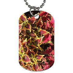 Plant Leaves Foliage Pattern Dog Tag (one Side) by Celenk