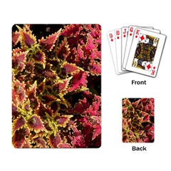 Plant Leaves Foliage Pattern Playing Cards Single Design by Celenk