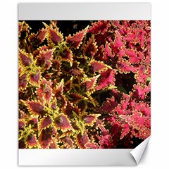 Plant Leaves Foliage Pattern Canvas 11  X 14  by Celenk