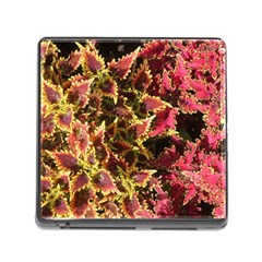 Plant Leaves Foliage Pattern Memory Card Reader (square 5 Slot) by Celenk