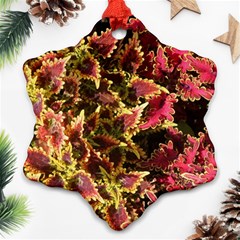 Plant Leaves Foliage Pattern Ornament (snowflake)