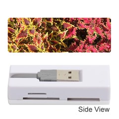 Plant Leaves Foliage Pattern Memory Card Reader (stick) by Celenk