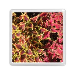 Plant Leaves Foliage Pattern Memory Card Reader (square) by Celenk