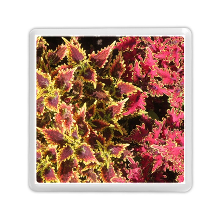 Plant Leaves Foliage Pattern Memory Card Reader (Square)