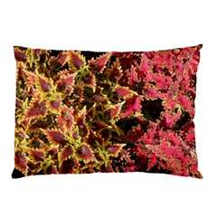 Plant Leaves Foliage Pattern Pillow Case (two Sides) by Celenk