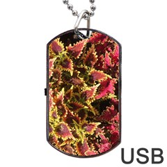 Plant Leaves Foliage Pattern Dog Tag Usb Flash (one Side) by Celenk