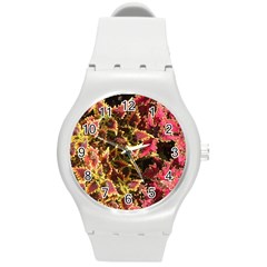 Plant Leaves Foliage Pattern Round Plastic Sport Watch (m) by Celenk