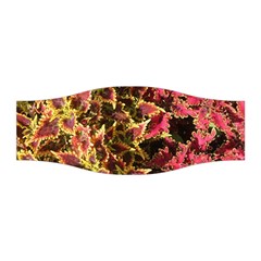 Plant Leaves Foliage Pattern Stretchable Headband by Celenk