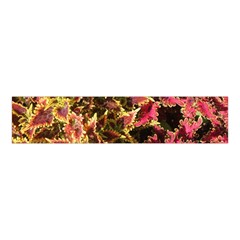 Plant Leaves Foliage Pattern Velvet Scrunchie by Celenk