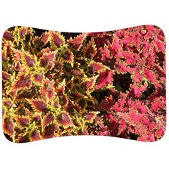 Plant Leaves Foliage Pattern Velour Seat Head Rest Cushion by Celenk