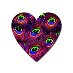 Peacock Feathers Color Plumage Heart Magnet by Celenk