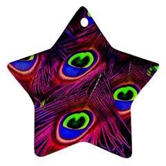 Peacock Feathers Color Plumage Star Ornament (two Sides) by Celenk