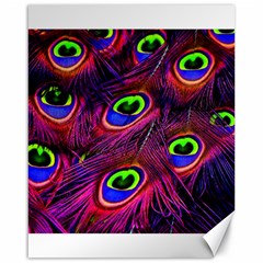 Peacock Feathers Color Plumage Canvas 16  X 20  by Celenk