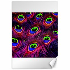 Peacock Feathers Color Plumage Canvas 20  X 30  by Celenk