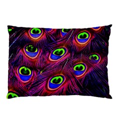 Peacock Feathers Color Plumage Pillow Case (two Sides) by Celenk