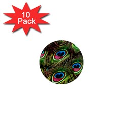 Peacock Feathers Color Plumage 1  Mini Magnet (10 Pack)  by Celenk