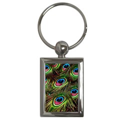 Peacock Feathers Color Plumage Key Chains (rectangle)  by Celenk