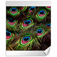 Peacock Feathers Color Plumage Canvas 16  X 20  by Celenk