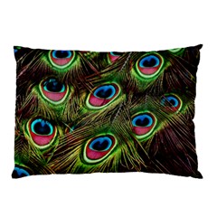 Peacock Feathers Color Plumage Pillow Case by Celenk