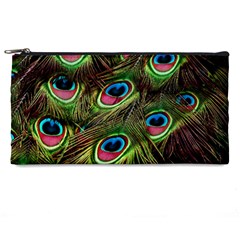 Peacock Feathers Color Plumage Pencil Cases by Celenk