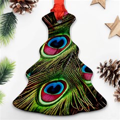 Peacock Feathers Color Plumage Ornament (christmas Tree) 