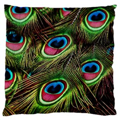 Peacock Feathers Color Plumage Large Cushion Case (two Sides) by Celenk