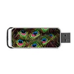 Peacock Feathers Color Plumage Portable USB Flash (Two Sides) Back