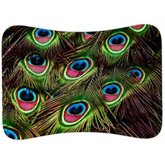 Peacock Feathers Color Plumage Velour Seat Head Rest Cushion by Celenk