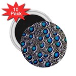 Peacock Pattern Close Up Plumage 2.25  Magnets (10 pack)  Front