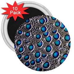 Peacock Pattern Close Up Plumage 3  Magnets (10 Pack) 