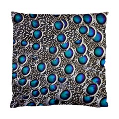 Peacock Pattern Close Up Plumage Standard Cushion Case (one Side)