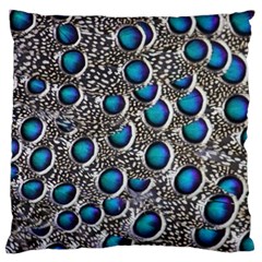 Peacock Pattern Close Up Plumage Large Cushion Case (two Sides)