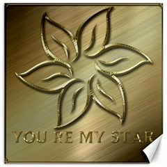 You are my star Canvas 20  x 20 