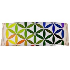 Mandala Rainbow Colorful Reiki Body Pillow Case Dakimakura (two Sides) by Simbadda