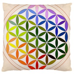 Mandala Rainbow Colorful Reiki Large Cushion Case (one Side) by Simbadda