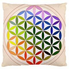 Mandala Rainbow Colorful Reiki Large Flano Cushion Case (one Side) by Simbadda