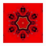 Chakra Art Heart Healing Red Medium Glasses Cloth Front