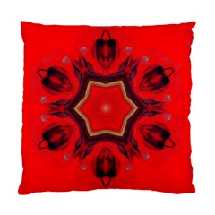 Chakra Art Heart Healing Red Standard Cushion Case (one Side) by Simbadda