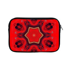 Chakra Art Heart Healing Red Apple Ipad Mini Zipper Cases by Simbadda