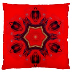 Chakra Art Heart Healing Red Standard Flano Cushion Case (two Sides) by Simbadda